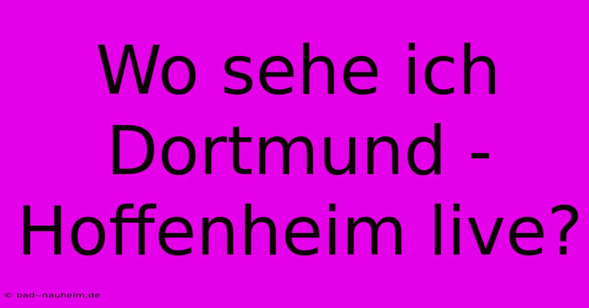 Wo Sehe Ich Dortmund - Hoffenheim Live?