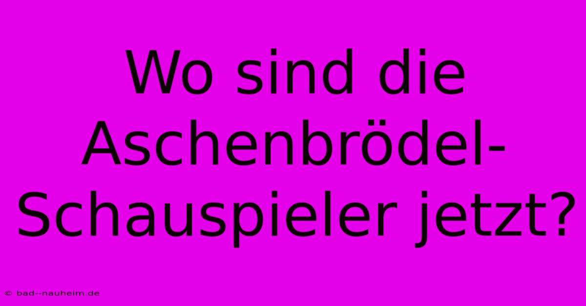 Wo Sind Die Aschenbrödel-Schauspieler Jetzt?