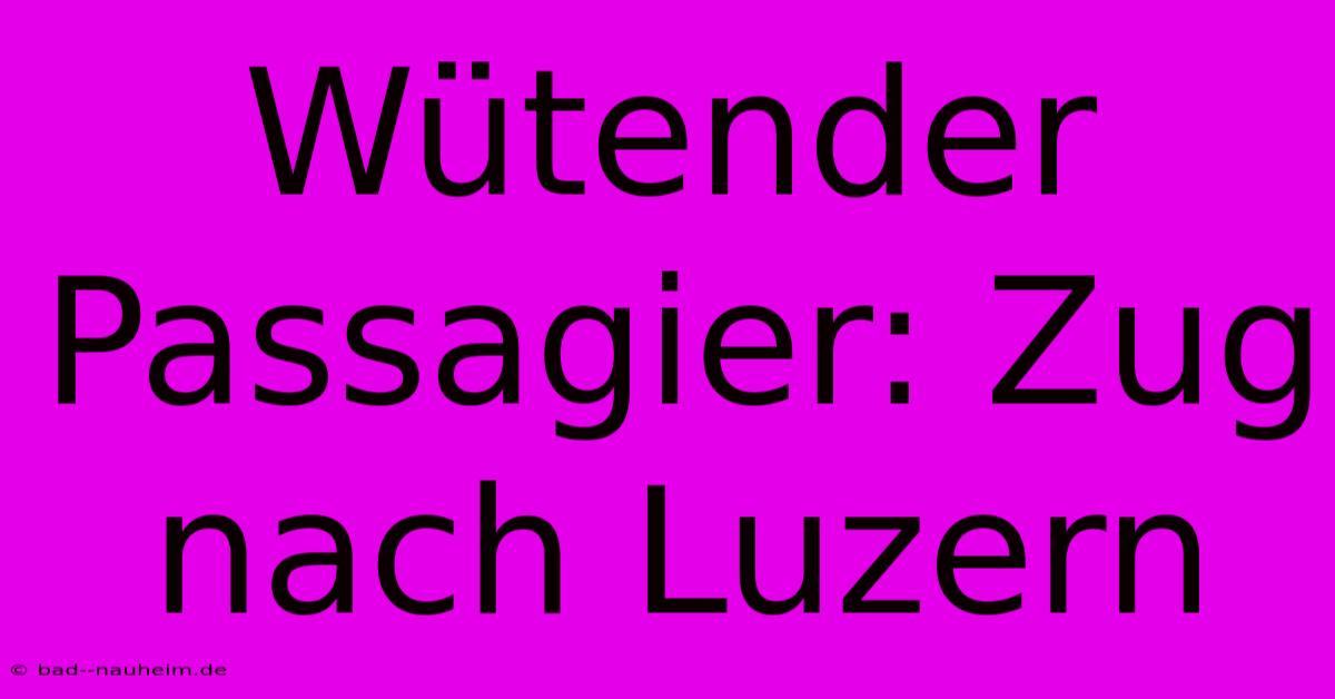 Wütender Passagier: Zug Nach Luzern