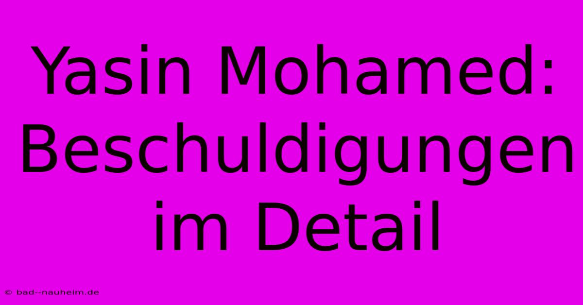 Yasin Mohamed: Beschuldigungen Im Detail