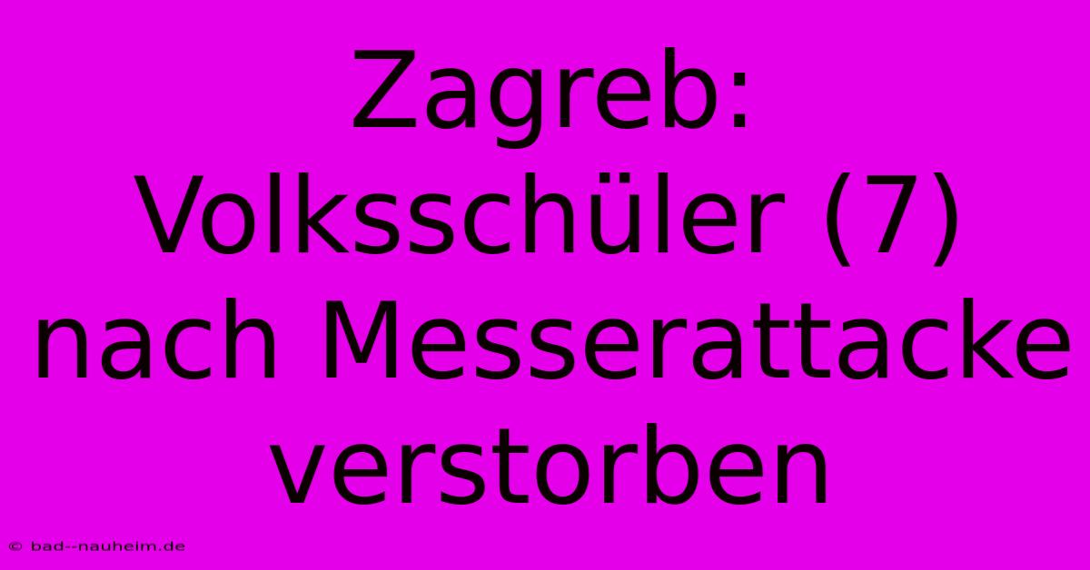 Zagreb: Volksschüler (7) Nach Messerattacke Verstorben