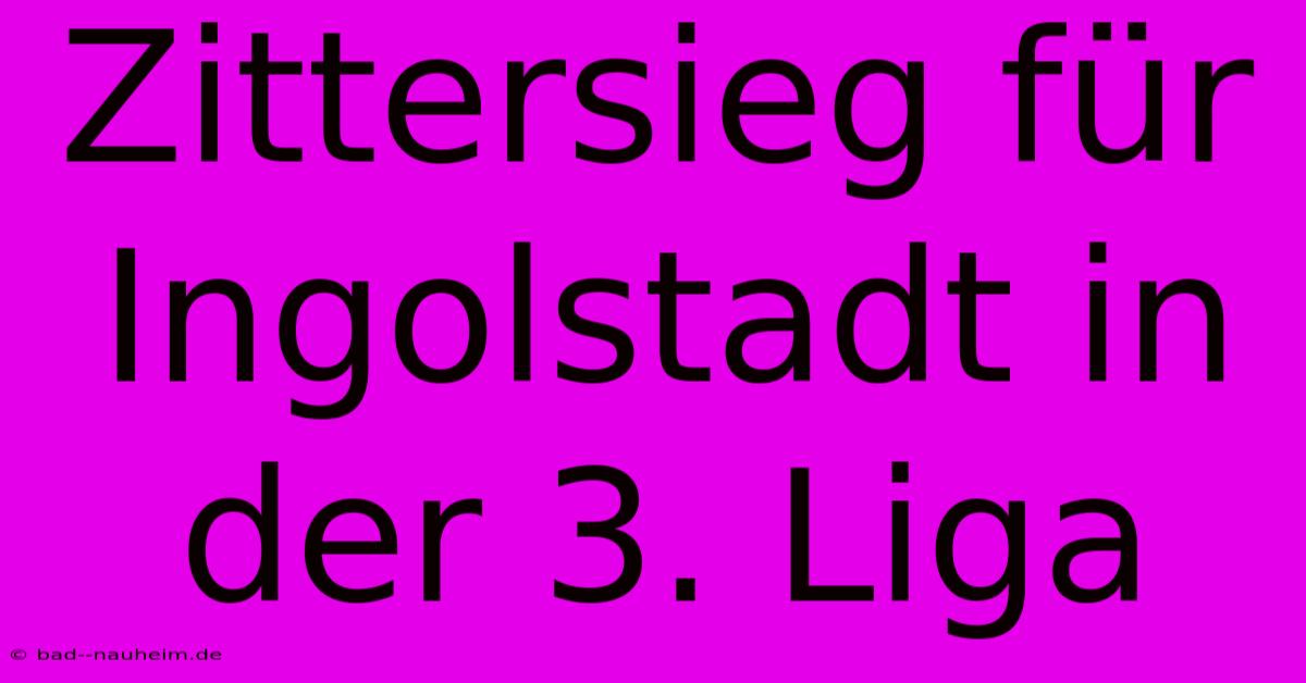 Zittersieg Für Ingolstadt In Der 3. Liga