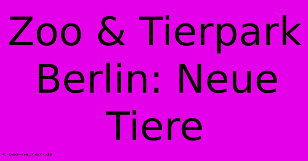 Zoo & Tierpark Berlin: Neue Tiere