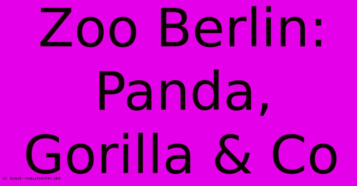 Zoo Berlin: Panda, Gorilla & Co