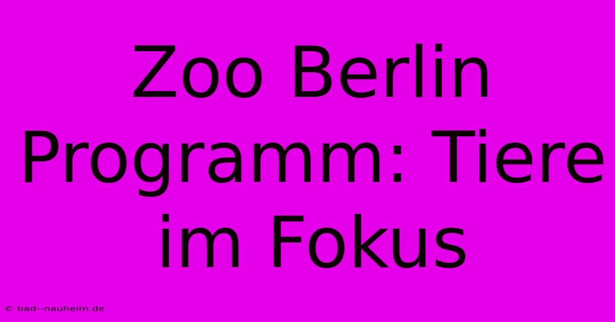 Zoo Berlin Programm: Tiere Im Fokus