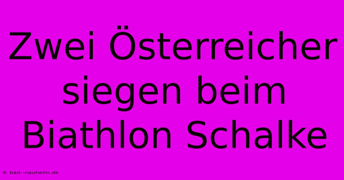 Zwei Österreicher Siegen Beim Biathlon Schalke